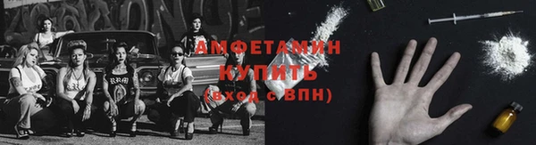 амф Корсаков