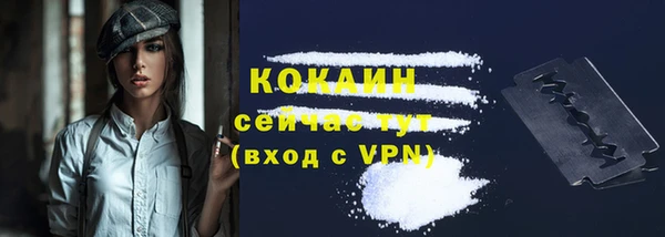 амф Корсаков