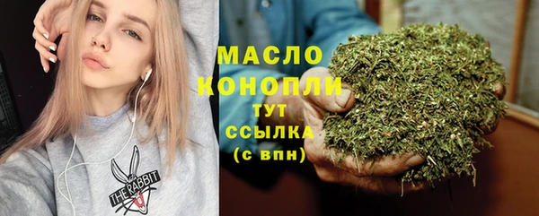 индика Дмитриев