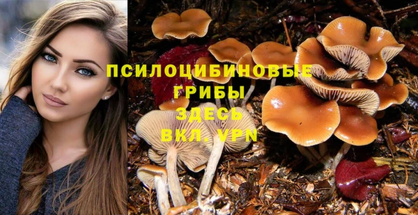Альфа ПВП Костерёво