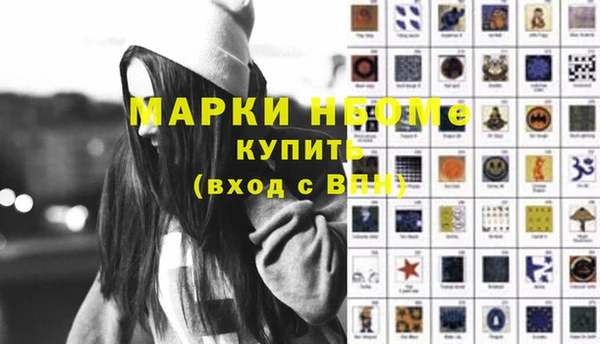 индика Пыталово