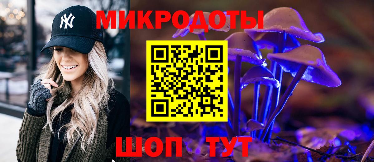 как найти   Вход с VPN  Железноводск  Галлюциногенные грибы GOLDEN TEACHER 